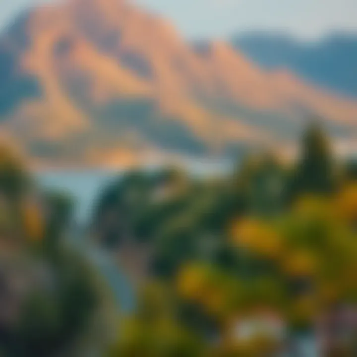 Magnificent Navigating the Landscape of Self-Directed IRAs