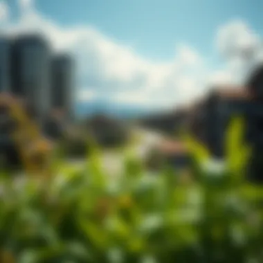 Magnificent Understanding Sustainability: A Multifaceted Perspective