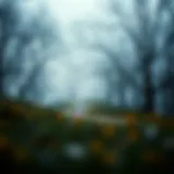 Visual representation of a 401(k) to Roth IRA transition