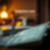 Visual representation of subprime loan characteristics