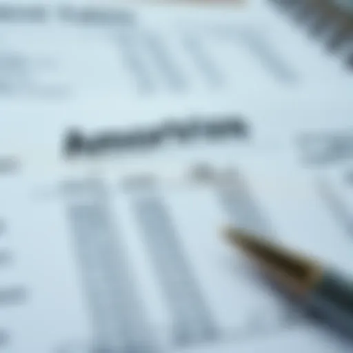Detailed view of an amortization table