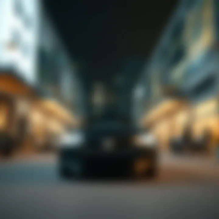 Notable Understanding LLC Type S: A Comprehensive Exploration