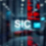 Visual representation of SIC code classification